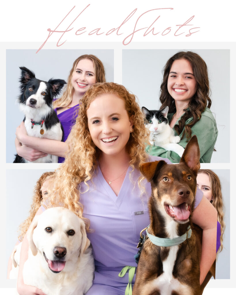 Headshots with pets at the Kstate vet clinic